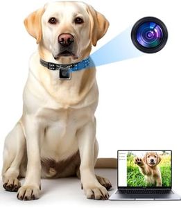 Cat/Dog Camera Collar, No APP No WiFi, Cordless Collar Camera for Outdoor Video Recording, M-Size for Medium Dogs(NO SD Card Included)