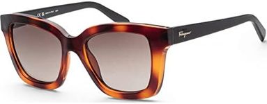 Salvatore Ferragamo Brown Gradient 