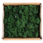 Warmiehomy Artificial Moss, 130g Outdoor Fake Moss Lichen Plants for Home, Garden, Patio Decoration Realistic Looking Garden Synthetic Turf (Dark Green)