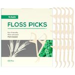 Dental Floss Sticks, Floss Picks, Dental Floss Toothpick, Natural Eco-Friendly Vegan Sustainable Dental Floss,Teeth Stick（100 Picks）