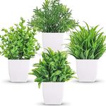 WYTE ORIGIN Artificial Plastic Eucalyptus Plants Small Indoor Potted Houseplants, Small Faux Plants for Home Decor Bathroom Office Farmhouse (Squre-4)