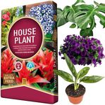 House Plant Compost Ideal For Indoor & Outdoor House Plants With Added Nutrients For Healthy Leaves & Plants (10 Litres)