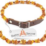 Collar for Dogs and Cats - Dog Collar - Genuine Raw Baltic Amber Beads - Accessory for Your pet - 100% Natural Amber Beads - Amber Insert Cognac - Size Options … (11.8" - 13.7" (30-35cm))