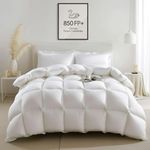 Wellos 850+ Fill Power Goose Feather Down Comforter California King - 1000TC 100% Cotton All Season Duvet Insert + 8 Corner Tabs + 3D Baffle Box - California King 104 X 96”