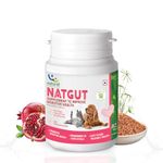 Natural Remedies Natgut Supplement to Improve Digestive Health, Real Chicken Liver for Dogs, Cats & Pups of All Breeds, 20 Tablets (Pack of 1)