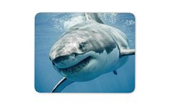 Great White Shark Mouse Mat Pad - Sharks Scuba Diving Fun Gift PC Computer #8474