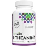 PlantVital High Potency L-Theanine 250mg Capsules - 120 Count - L Theanine Supplement for Relaxation and Stress Management, Non-GMO, Made in Canada - L-Theanine Supplements, 4 Month Supply