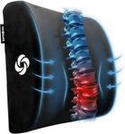 Samsonite Lumbar Support Pillow for