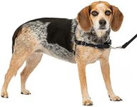 PetSafe Easy Walk No-Pull Dog Harne