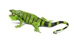 Safari Ltd Iguana Adult