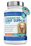 Senior Dog Joint Supplement High Strength With Turmeric Glucosamine & Green Lipped Mussel | For Older Stiffer Dogs Age 8+ | 120 Chewable Tablets | Made In The UK