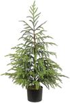 36" Artificial Norfolk Pine Tree wi