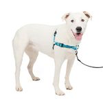 PetSafe Easy Walk Deluxe Harness, No-Pull Walking Harness for Dogs, Padded Design, Includes 1.8m Lead, Medium/Large-Ocean Blue/Black Lead