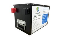 Ecoplex 12.8V 100Ah Lithium Ferro Phosphate Battery for UPS, Inverters and Solar Panels for Homes and Shops