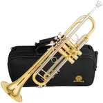 AUROSUS SB-710 Bb trumpet gold bras