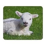 CafePress Baby Lamb Mousepad Non-slip Rubber Gaming Mousepad