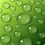 Green Wallpapers and Backgrounds