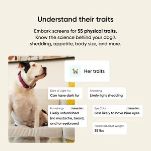Embark Dog DNA Test Kit – Breed Identification & Health Screening