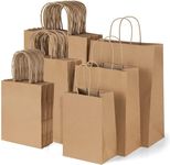 60pcs Brown Paper Bags with Handles