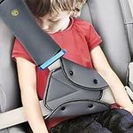 Seat Belt Adjuster and Pillow with 