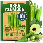 HOME GROWN Clemson Spineless Okra Seeds Pack - 101 Non-GMO Heirloom Vegetable Seeds, Premium Garden Seeds, Harvest Fresh Okras with Our Okra Seeds for Planting Outdoors (Abelmoschus esculentus)