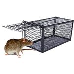 Multi Catch Mouse Trap