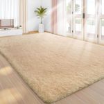 Sour Lemon 5x7 Area Rugs for Bedroom, Living Room Fluffy Rug, Large Area Rug Shag Shaggy Carpet Soft Plush Furry Bedside Rug, Machine Washable Area Rugs for Kids Girls Boys Home Decor Anti Slip