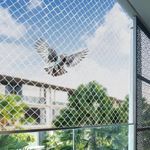 Amazon Brand - Solimo UV Stabilized HDPE Bird Net/Pigeon Net | 10x15 Ft | Clips & Tying Ropes Included (White)