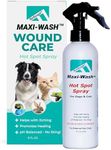 Forticept Maxi-Wash Hot Spot Spray for Dogs Cats Pets, Antiseptic Anti Itch Spray, Wounds Care & Cleanser, Treatment for Pyoderma Burns Itching Skin Infections 8 oz