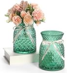 SOJOCK 2PACK Glass Flower Vases(Flo