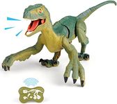 VERTOY Remote Control Dinosaur Toys