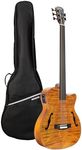 WishMade 5 String Electric Bass Guitar Hollow Body With F-Holes, Fretless Acoustic Bass Guitar, Flamed Maple Top With Gig Bag (BLB-500 NAT FL)