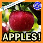 Apples!: A My Incredible World Picture Book for Children