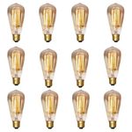 Lexton Tesla Vintage Tungsten Filament Bulb | Antique Glass Light Bulbs | E27 Bulb Base, 2700K | Suitable for Home Decoration, Hall, Restaurant, Bar Lighting (Pack of 12, Warm white/Yellow)