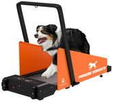 Dog Treadmill Fitness Workout Equipment - Pet Indoor Training for Small and Medium Size Dogs