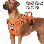 Lukovee No Pull Dog Harness, No Choke Pet Harness with 2 Leash Clips and Easy Control Vertical Handle, Adjustable Soft Padded Dog Vest for Small, Medium and Large Dogs (Large, Orange)