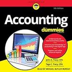 Accounting for Dummies (7th Edition