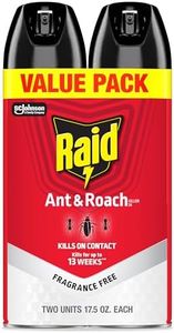 Raid Ant &