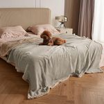 Kritter Planet Large Waterproof Bed Blanket for Intimacy, King Size Love Couples Bed Cover Leakproof, Reversible Protector Furniture Couch Cover for Dogs Pets, Washable, Stain Proof, Hair Resistant