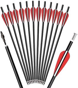 ELONG OUTDOOR 12 Pcs Flèches d'arbalète en Fibre de Verre 16" Flèche de Cible de tir à l'arc de Chasse avec 100 Grain Pointes de flèches Flat Nock