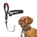 HALTI Optifit Headcollar Size Small, Dog Head Harness to Stop Pulling on the Lead, Easy to Use, Adjustable & Reflective Head Collar for Dogs, Professional Anti-Pull Training Aid, Black