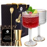 Vemacity Luxury Gin Glasses Set of 2 w/Gold Rims| Gold Spoon, Spirit Measure, Spirit Pourer & Recipe e-Book| Crystal Gin Glass Gift Set| Aperol Spritz Glasses| Cocktail Glasses| Gin Glasses for Women