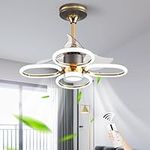 GEADI Ceiling Fans with Lights, 60c