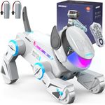 SIMREX Robot Dog Toys for Kids, Int