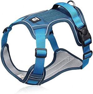 XINIDEA No Pull Dog Harness for Small Large Medium and Extra Large Dog, Adjustable Breathable Oxford Material Outdoor Dog Vest, No Escape No Choke Design and Name Tag Reserved. (Blue, L)