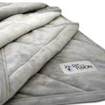 PetFusion Premium Plus Large Dog Blanket (135 x 106 CM). Reversible Gray Micro Plush. [100% soft polyester]