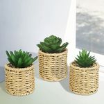 Anko Set of 3 Artificial Mini Succulent Plants with Rattan Look Pots | Decorative Artificial Plant for Home, Office, Bedroom, Balcony, Living Room | Natural Look Artificial Plant for Home Décor