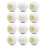 Heega Plastic Cricket Ball White Non Toxic (Pack of 12 | 100gm Per Ball)