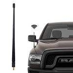 Yunukin 13 inch Car Antenna Compatible with Dodge Ram 1500 2500 3500 Truck, Grand Caravan, Durango, Waterpro Antenna Replacement Accessories, Designed for Optimized FM/AM Reception (13 Inches)