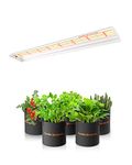 SPIDER FARMER SF600 Grow Lights Full 2x4ft Coverage Spectrum Grow Light for Indoor Plants Slim Design 384 Diodes LEDs Grow Lights Hydroponics Seedling Veg Flower Bloom High Efficiency Growing Lamp